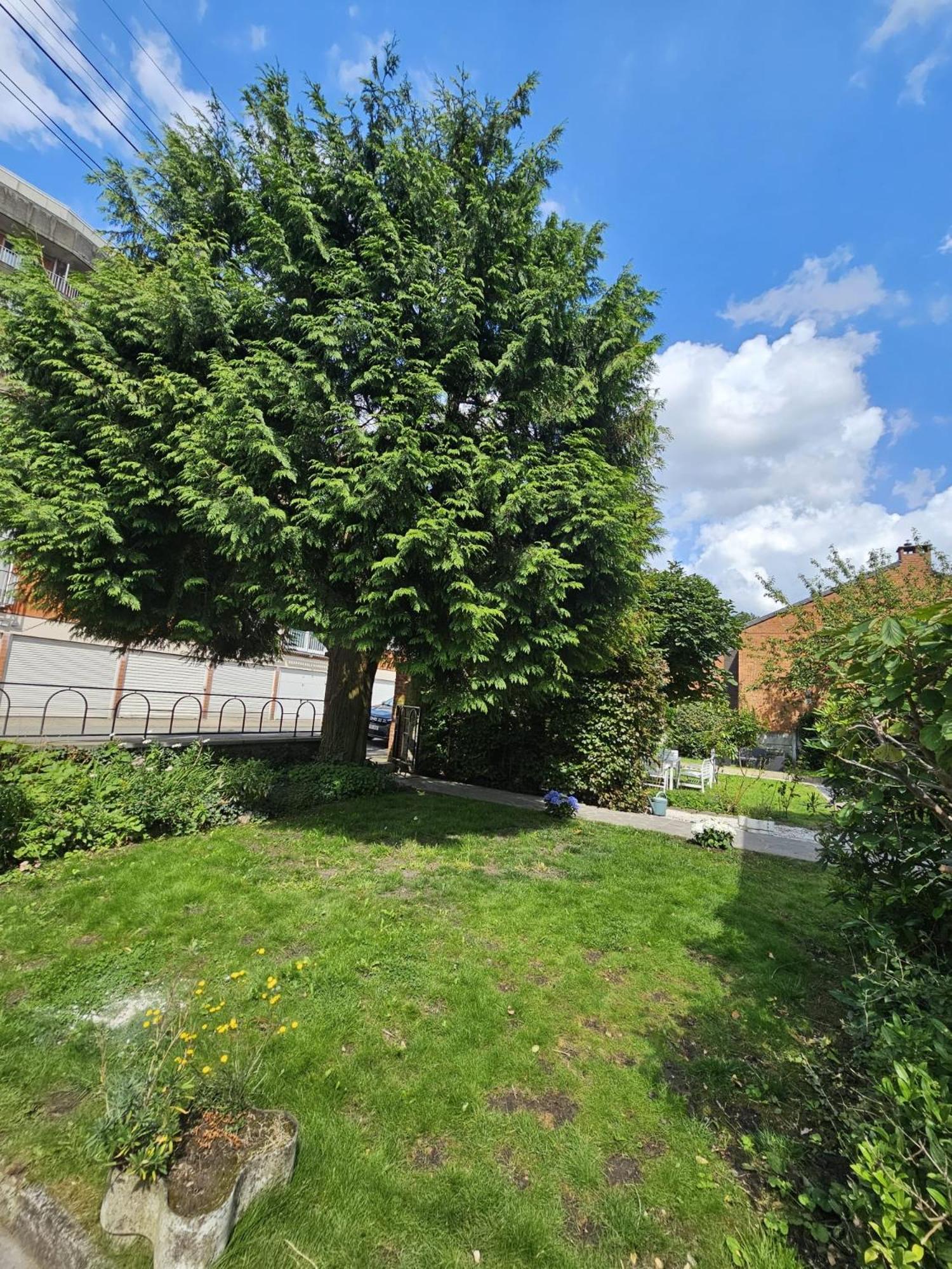 Maison 3 Chambres, Garage Et Jardin Mons Extérieur photo